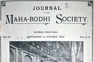 Cover of the Journal of the Maha-Bodhi Society Vol. 9 Nos 5-6 1900, depicting the sacred “Maha-Bodhi Tree” (aśvattha / ficus religiosa) at the Buddhist Mahabodhi temple Bodh Gaya, India.