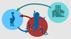 Schematic representation epigenetics