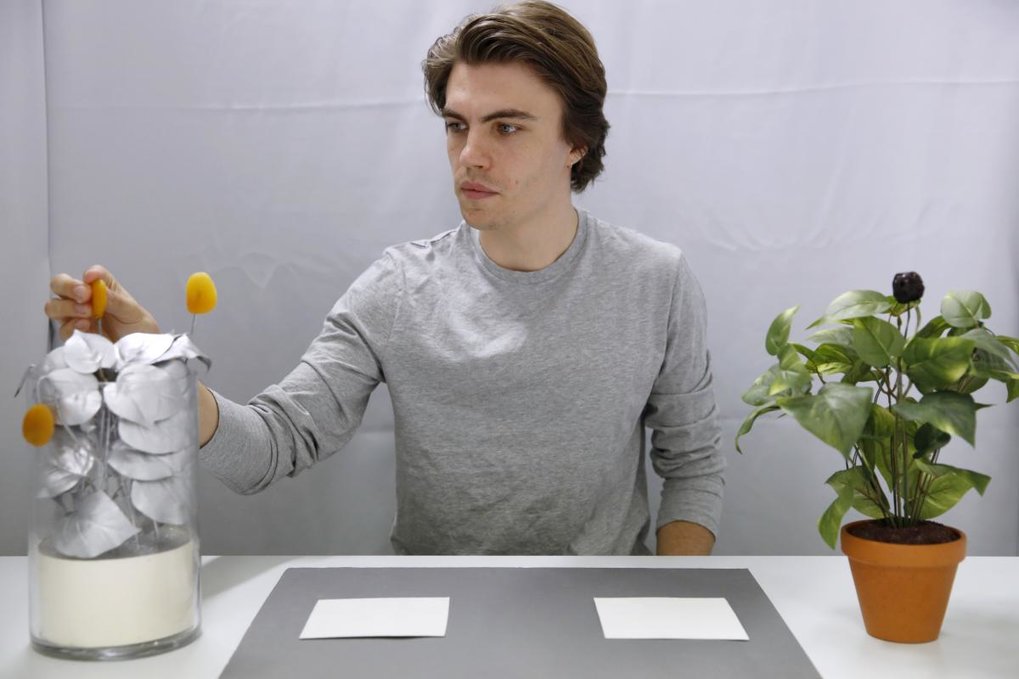 Selektives soziales Lernen 