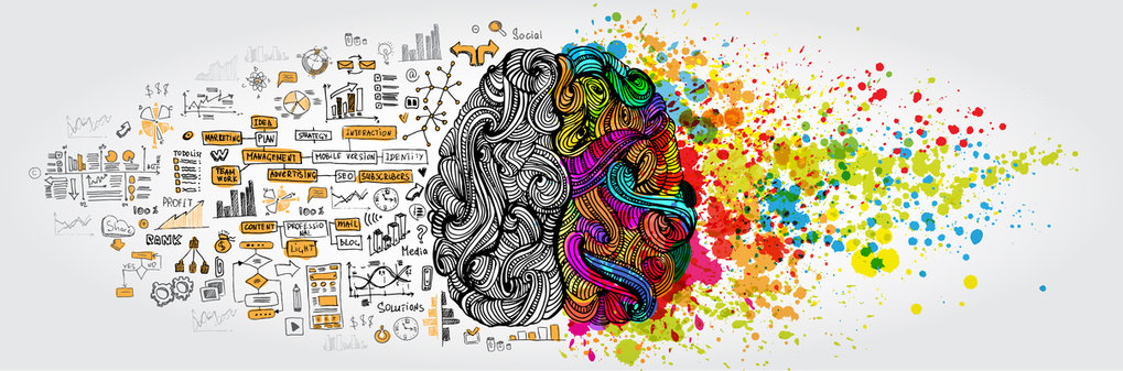 Plasticity in Adults