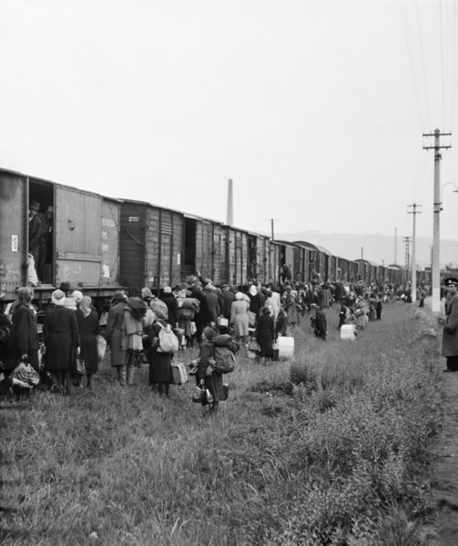 Zwischen &bdquo;alter&ldquo; und &bdquo;neuer&ldquo; Heimat: Die emotionale Integration der sudetendeutschen Vertriebenen nach 1945