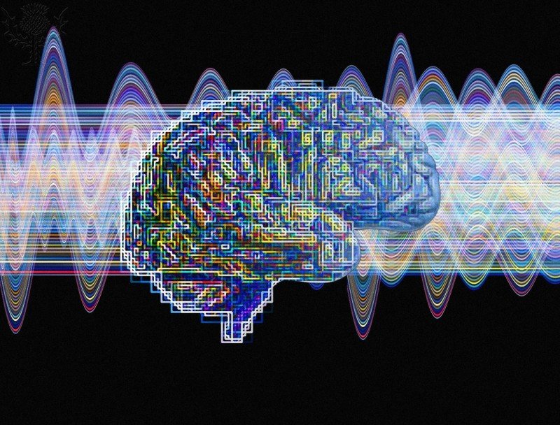 Neuronale Dynamik über die Lebensspanne