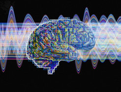 © Mehau Kulyk / Science Photo Library / Universal Images Group