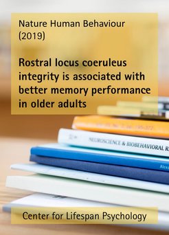 Rostral locus coeruleus integrity is associated with better memory performance in older adults